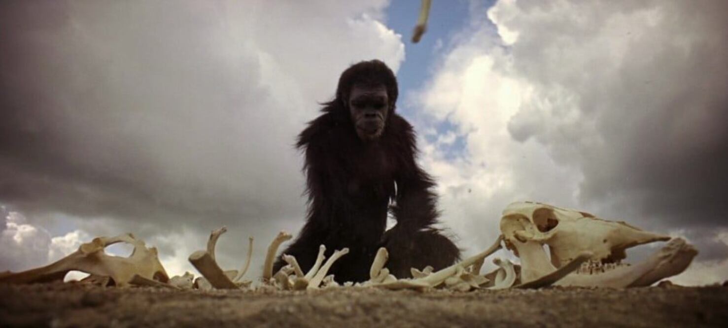 Fotograma del match cut: del hueso arrojado por un primate al salto temporal hacia la nave espacial.
Crédito sugerido: 2001: A Space Odyssey (Stanley Kubrick, 1968).