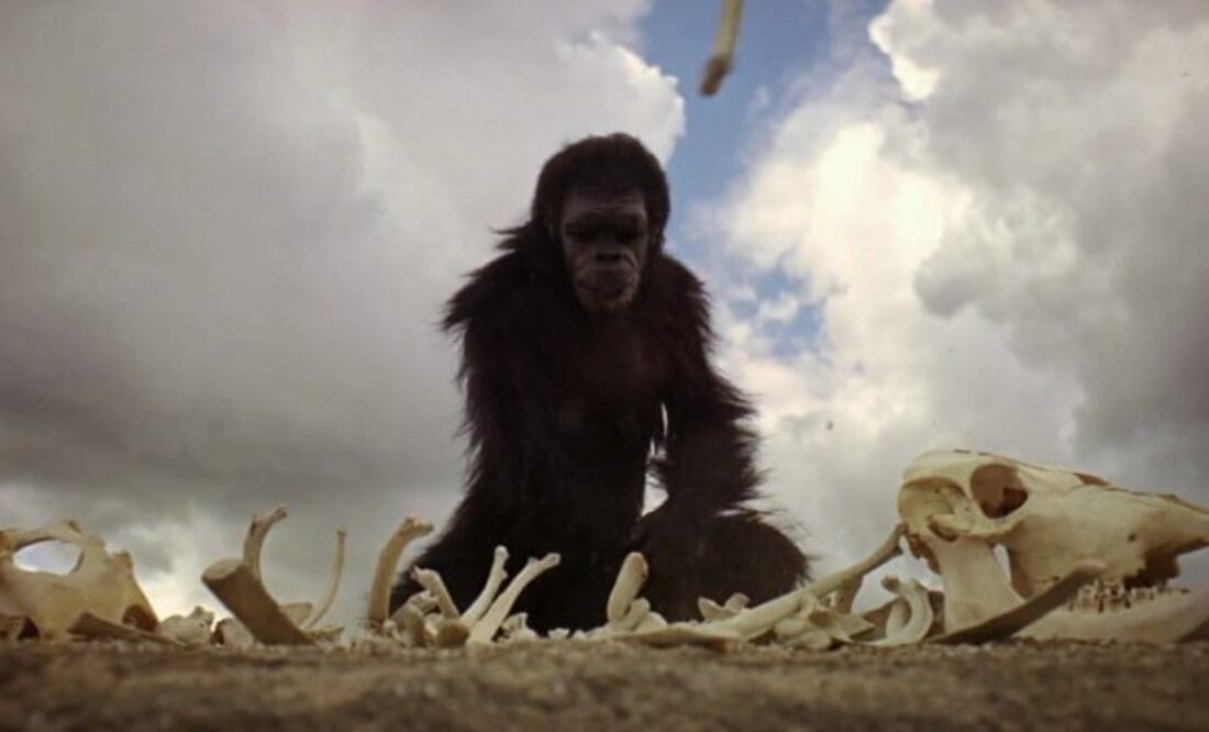 Fotograma del match cut: del hueso arrojado por un primate al salto temporal hacia la nave espacial.
Crédito sugerido: 2001: A Space Odyssey (Stanley Kubrick, 1968).