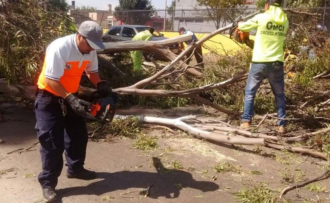 (Foto: Twitter @SPCCDMX)