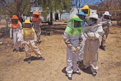 “Niños abeja”: Alumnos de Coyotepec se ponen avispas 