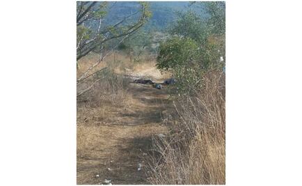 Suman 10 asesinatos en Guerrero en 24 horas