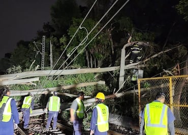 Continúan trabajos para restablecer por completo servicio del Tren Ligero tras caída de árboles