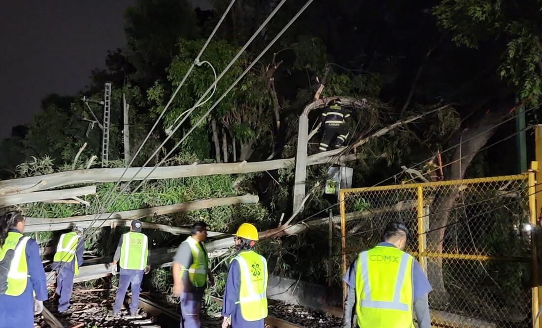 Cae árbol en las vías del tren ligero. Foto: @STECDMX