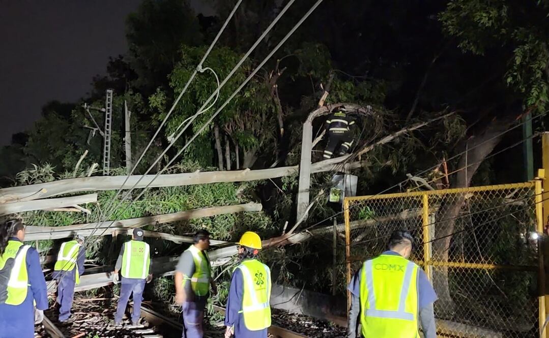 Cae árbol en las vías del tren ligero. Foto: @STECDMX