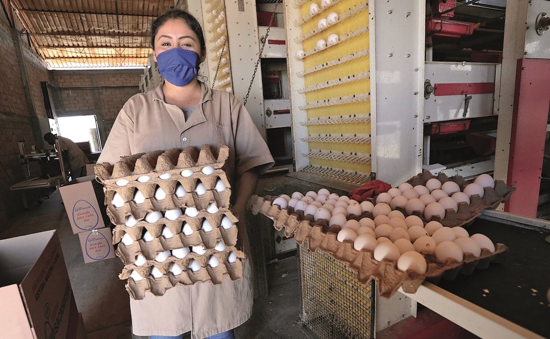 Jalisco es primer lugar nacional en creación de empleos productivos, informó Roberto Arechederra, secretario de Desarrollo Económico. Foto: ESPECIAL