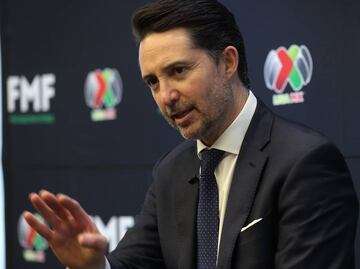 ¿Quién podría sustituir a Yon de Luisa en la presidencia de la FMF?