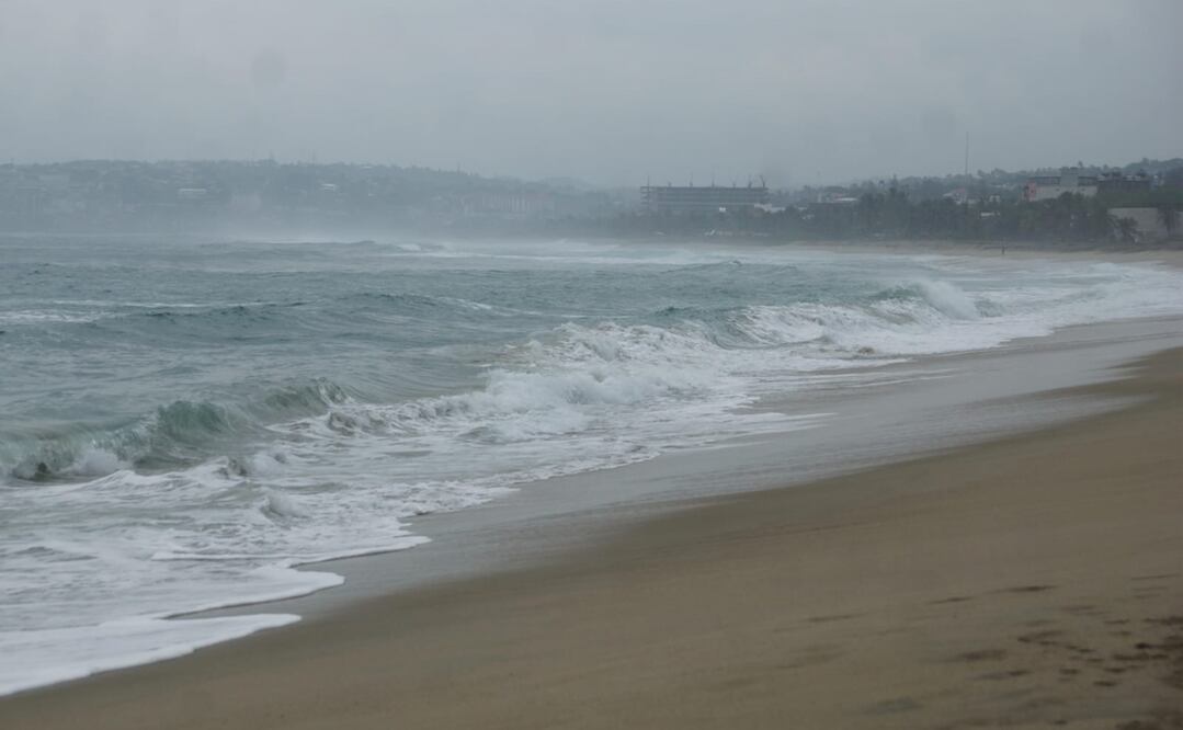 Foto: Edwin Hernández / EL UNIVERSAL