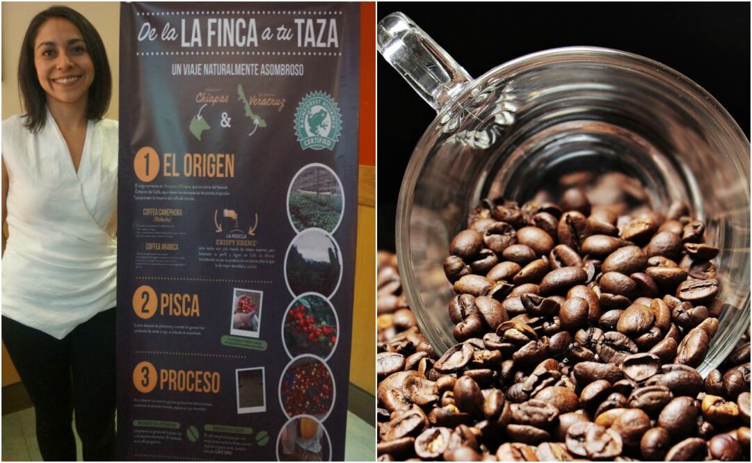 Foto: Cortesía/ Café sustentable