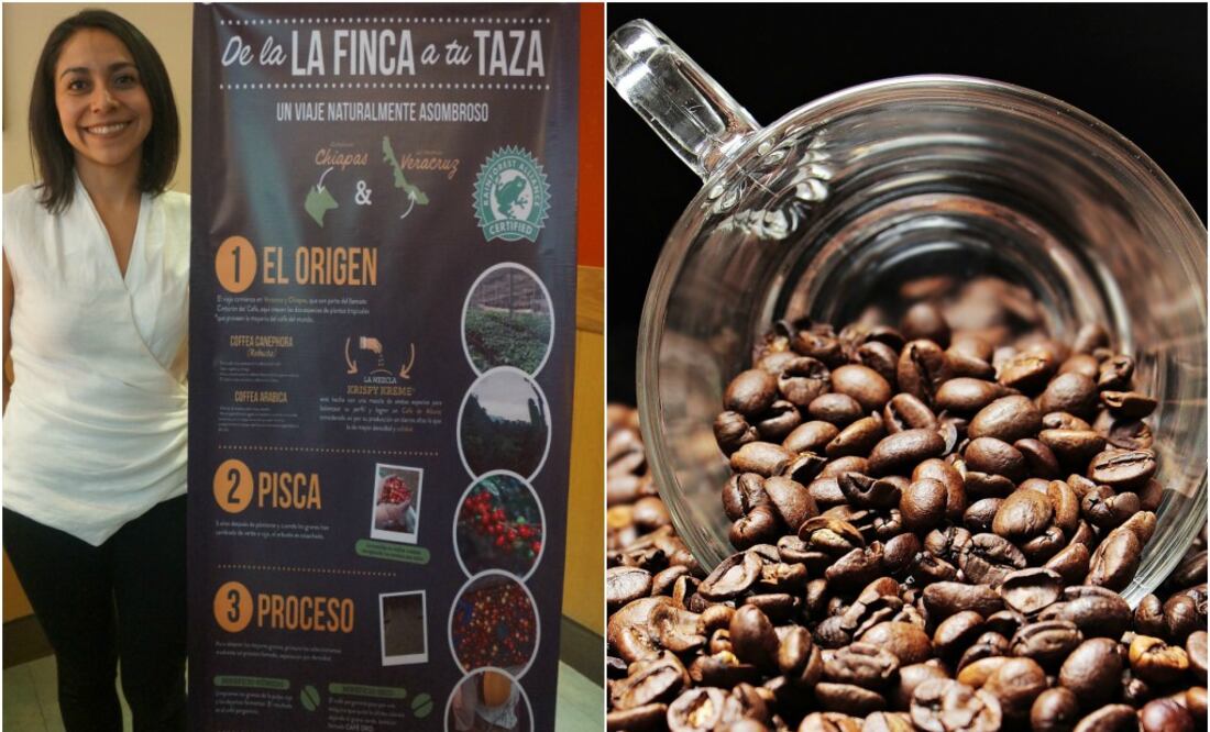 Foto: Cortesía/ Café sustentable