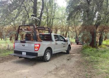 Abandonan 4 cadáveres con tiro de gracia en bosque de Tenancingo, Tlaxcala