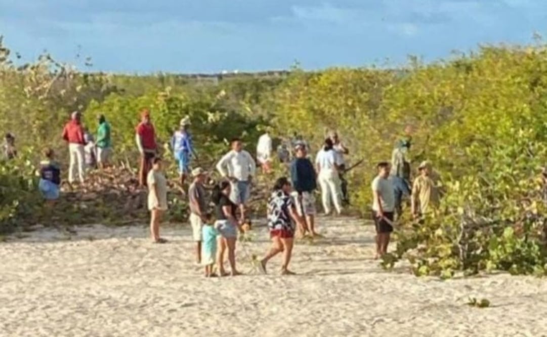 Juez sentencia a tres personas a reforestar dunas dañadas en Sisal, Yucatán, por 3 años; Profepa supervisará acciones.
Foto: Especial.