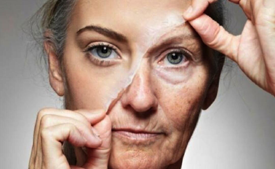 Foto: Massachusetts Institute of Technology 