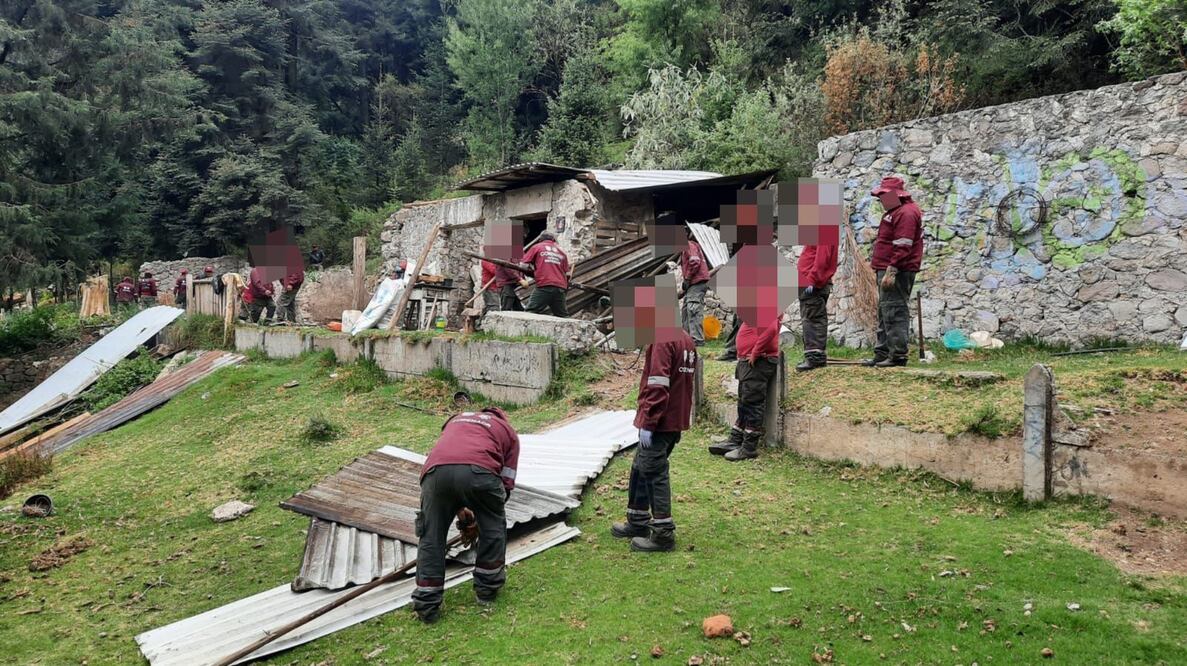 Autoridades recuperan ocho hectáreas de suelo de conservación invadidas en Los Dinamos, en la alcaldía Magdalena Contreras. (Foto: especial)