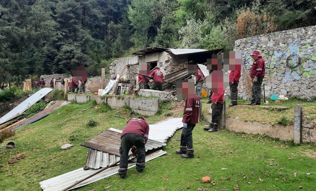 Autoridades recuperan ocho hectáreas de suelo de conservación invadidas en Los Dinamos, en la alcaldía Magdalena Contreras. (Foto: especial)