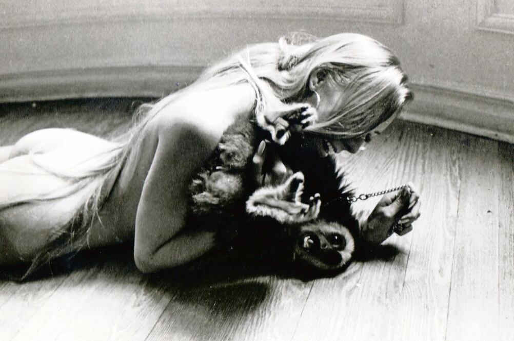 Robin, una musa inmortal