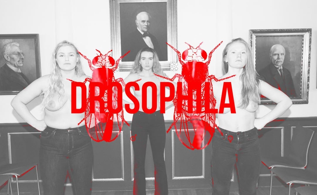 La artista islandesa Borghildur Indridadóttir sacó el proyecto Demoncrazy. Foto: Facebook Borghildur Indridadóttir/Demoncrazy