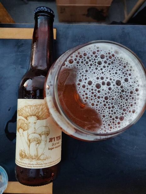 Monstruo de agua, la única cerveza hecha con hongos oaxaqueños