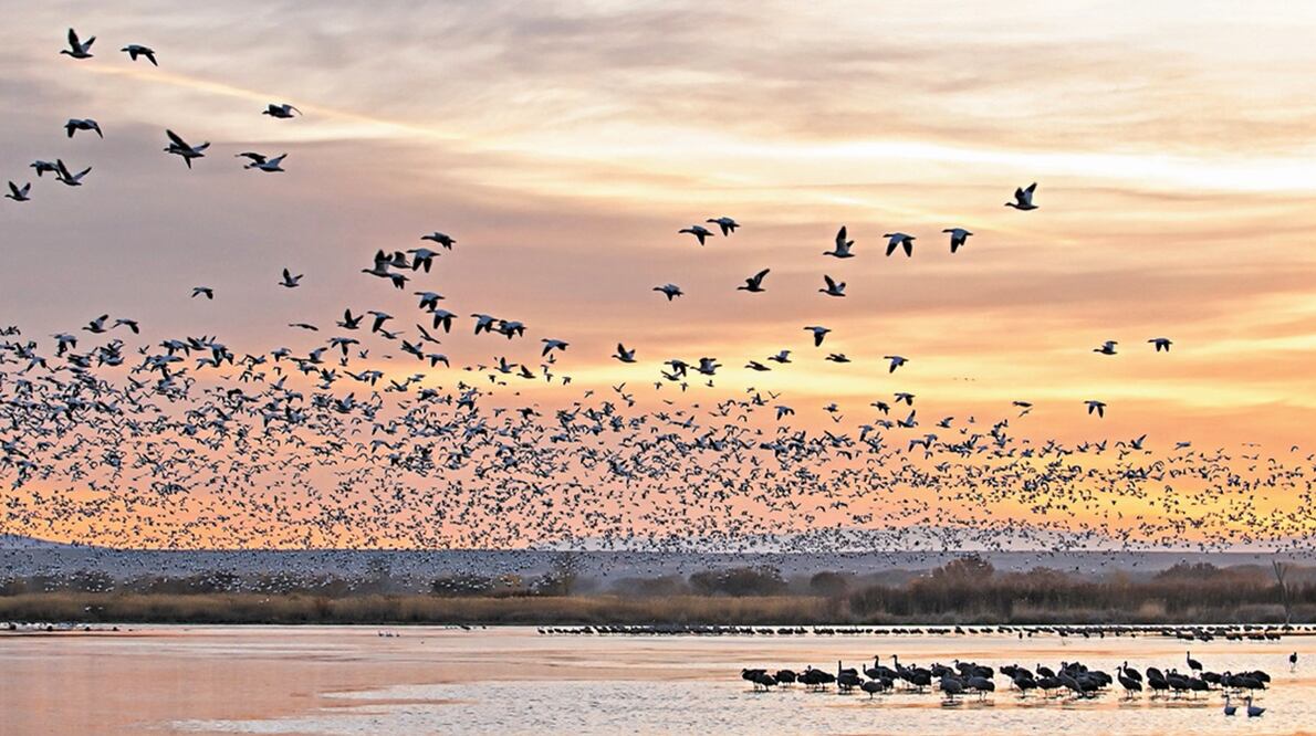 Foto: El Universal, archivo