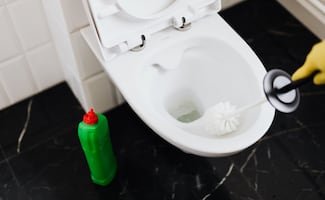 ¿Cómo eliminar las manchas del inodoro de una vez por todas?; guía paso a paso