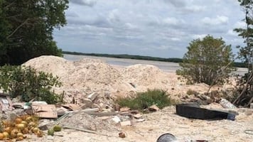 Habitantes de Sisal, Yucatán, denuncian tala ilegal de manglares y relleno de humedales; solicitan intervención de autoridades