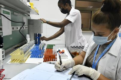 La OMS impedirá la manipulación del código genético humano, si eso implica un riesgo potencial para la salud 