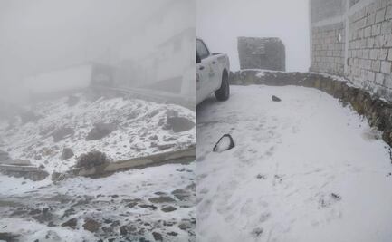 Cae aguanieve en Veracruz; cierran Parque Nacional del Cofre de Perote