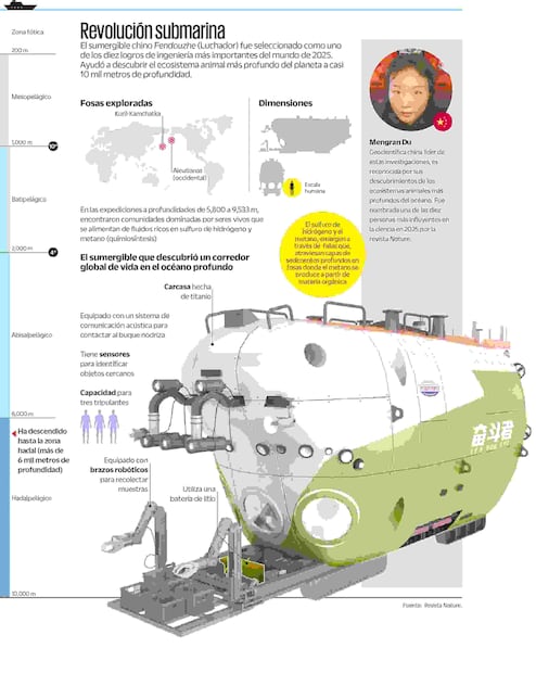 Infografía: Elaboración propia