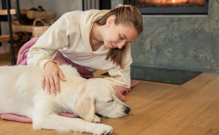 ¿Qué hacer cuando a tu perro le da un ataque epiléptico, según etóloga?