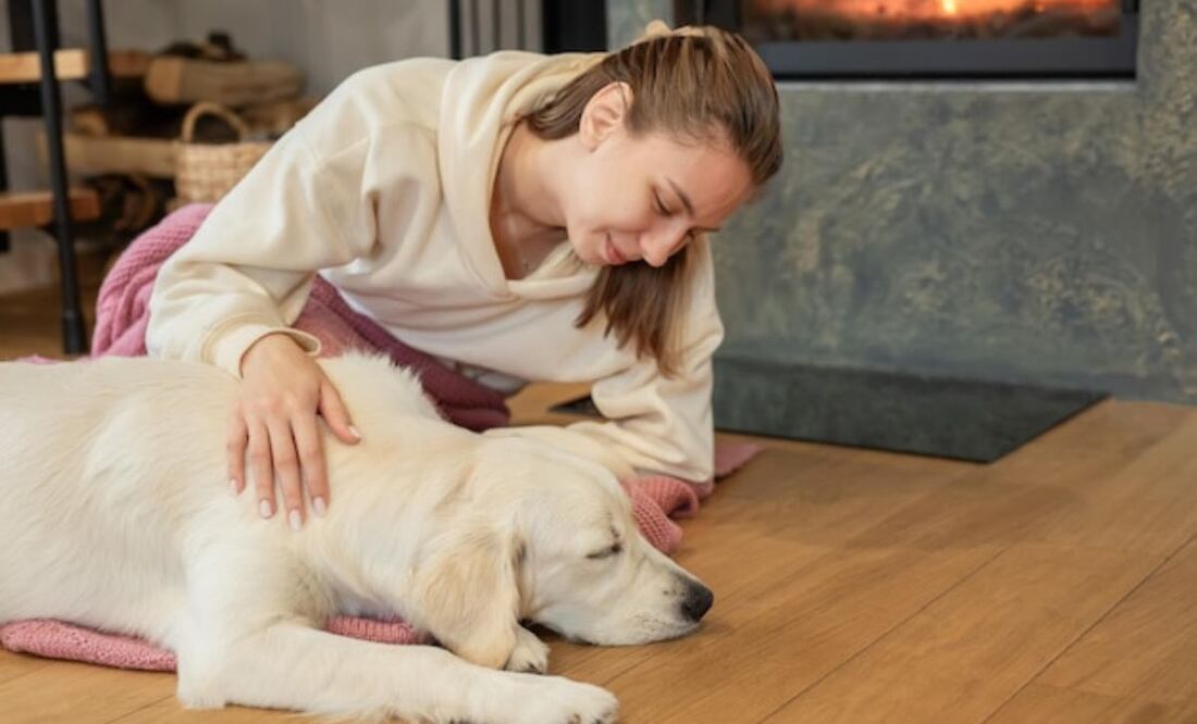 Presta atención a alas señales que envía tu mascota. Fuente: Freepik.