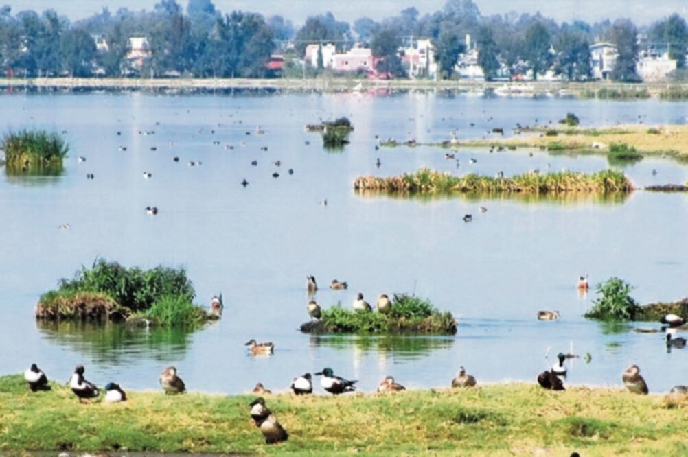 Vista del lago de Chalco en la actualidad. Foto: ESPECIAL