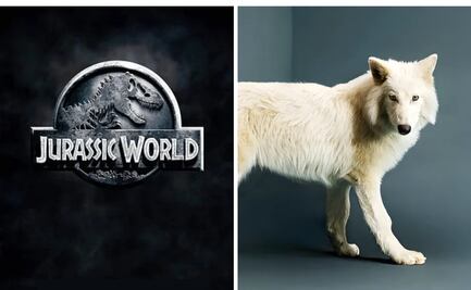 Jurassic World y su épica reacción tras nacimiento de "lobos terribles"; esto dijo