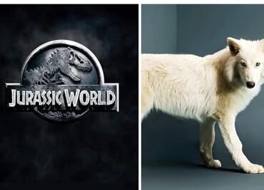 Jurassic World y su épica reacción tras nacimiento de "lobos terribles"; esto dijo