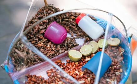 Cuáles son los beneficios de comer chapulines