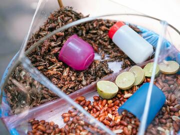 Cuáles son los beneficios de comer chapulines