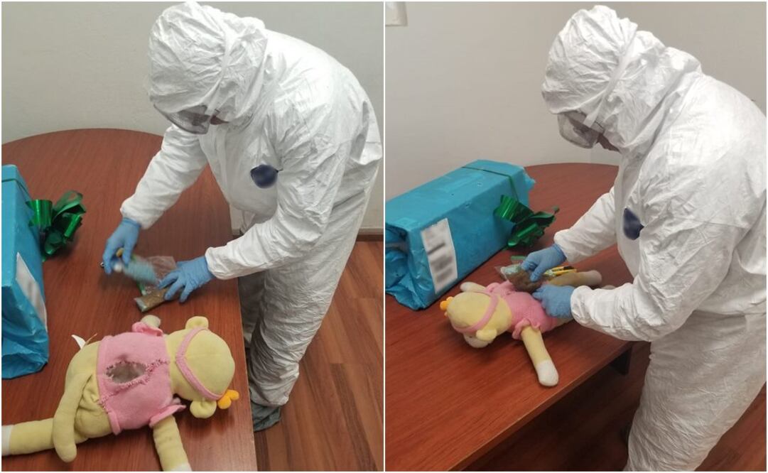Droga escondida en un peluche (Foto: Guardia Nacional)