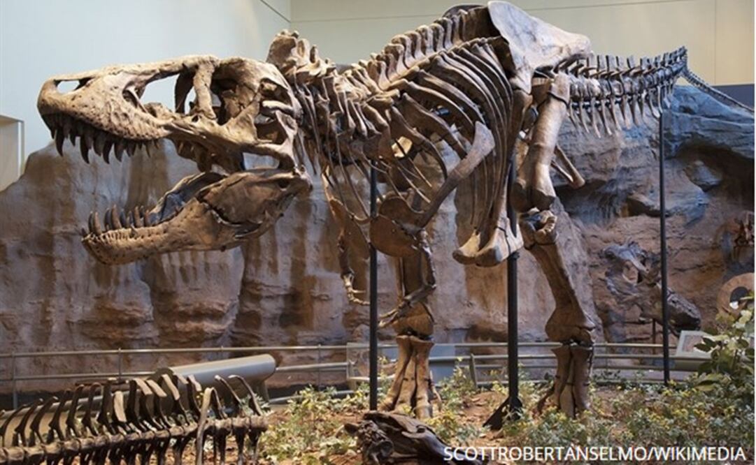 (FOTO: Archivo/EL UNIVERSAL)