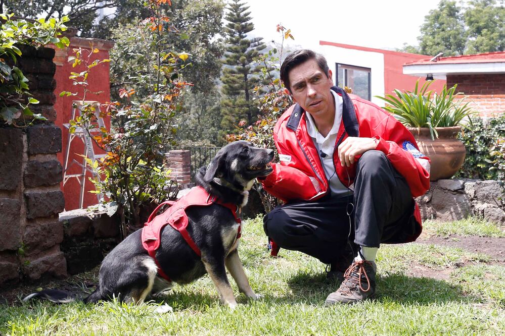 Perro rescatado en sismo es entrenado para ayudar a los bomberos