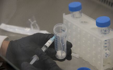 Con restos humanos, científicos identifican el origen de la Peste Negra 