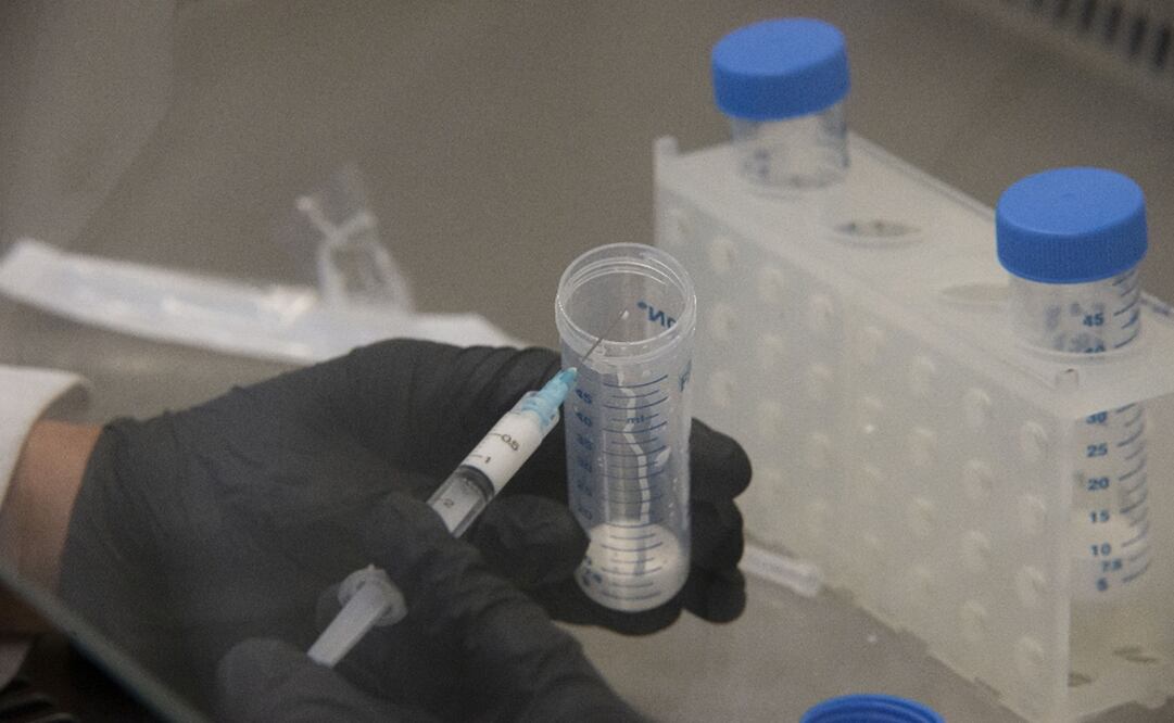 Imagen ilustrativa. Foto: Archivo El Universal