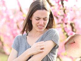 5 plantas que repelen mosquitos y ayudan a mantener tu casa libre de insectos