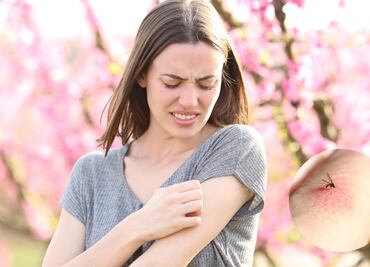 5 plantas que repelen mosquitos y ayudan a mantener tu casa libre de insectos