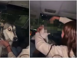 Identifican a mujer que obligó a perro a tomar alcohol en Chihuahua; universidad donde estudia atenderá tema