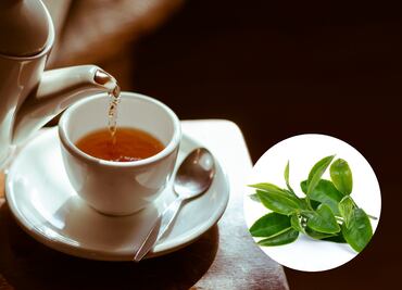 El té que te ayudará a mejorar la memoria y a rejuvenecer la piel