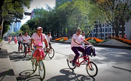 Busca Comisión Permanente incrementar participación de mujeres en toma de decisiones en materia ambiental