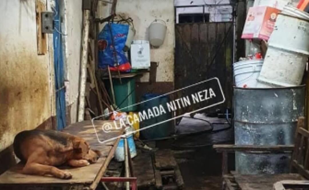 FOTO: Especial/EL UNIVERSAL/