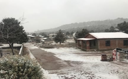 Cae nevada en la zona Serrana de Chihuahua 