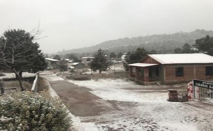 Cae nevada en la zona Serrana de Chihuahua