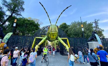 Inauguran INSECTA en el Jardín Botánico del Bosque de Chapultepec