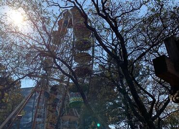 “Tranquilo”, así califican a la “Rueda India” de donde cayó un joven en Six Flags