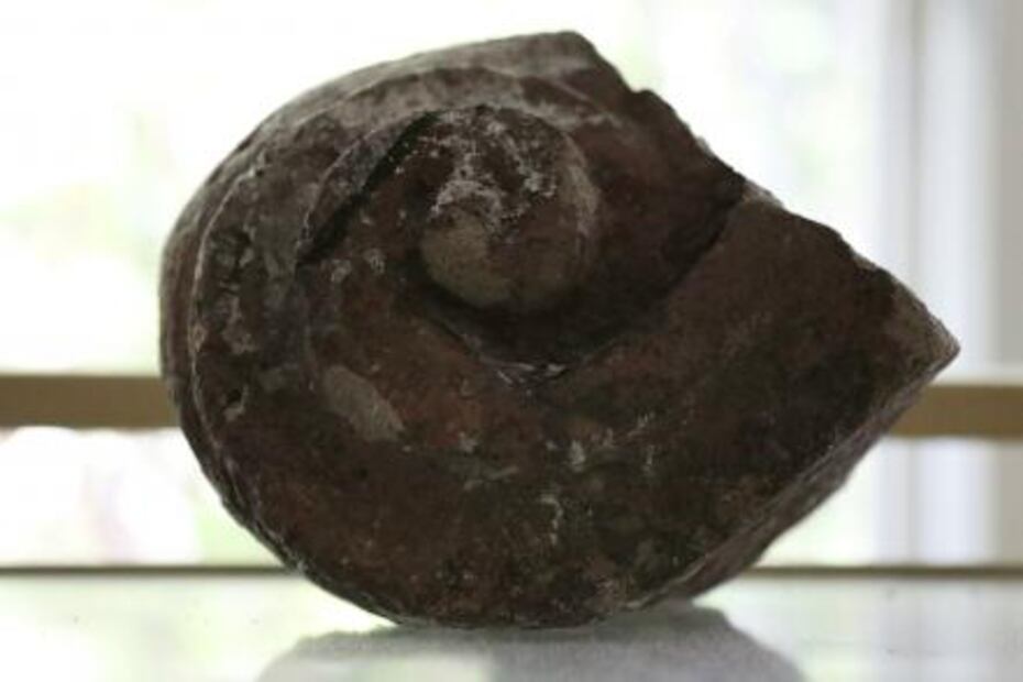 El sauna de Moctezuma sigue vigente